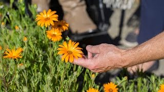 Placemaking (Intergenerational Creativity Project)