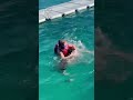 She was having the time of her life, he was fighting for his life🤣 📹-TT/brian_lion_rose