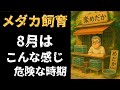 8月のメダカ飼育　月に一回の水換えと週1度の餌やりで飼えるのか　@rakumedaka 