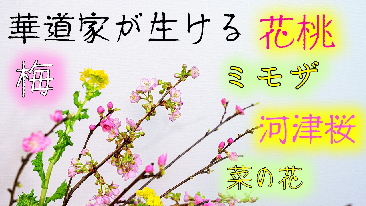 ENG sub】Ikebana Spring Collection: 2 Japanese Flower Ikebana & 1