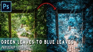 PHOTOSHOP TUTORIAL How To Easy Change Green Leaf to Blue Leaf screenshot 3