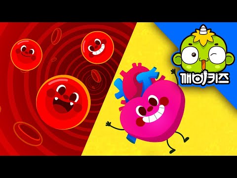 혈액순환송2 | 과학송 | 과학노래 | 과학동요 | 깨비키즈 KEBIKIDS