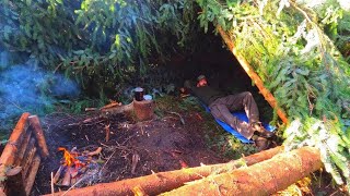 Survival Bushcraft Shelter after a HUGE WINDSTORM using FALLEN TREES | SPRUCE NEEDLE Tea | ASMR