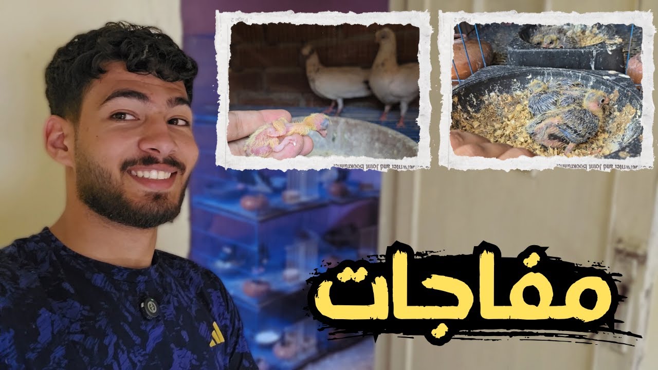 مفاجات عند الحمام 😮​ شوف حصل اية وهنعمل اية؟