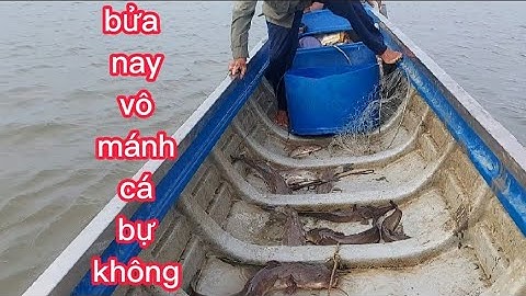 kéo câu giăn trúng luồng cá ngát,cá vồ biển(lê nghĩa cần giờ)