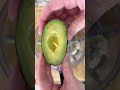 St. Patrick’s Day toast: 1/2 puck Boursin and 1 mini avocado #stpatricksday2023 #stpatricksday