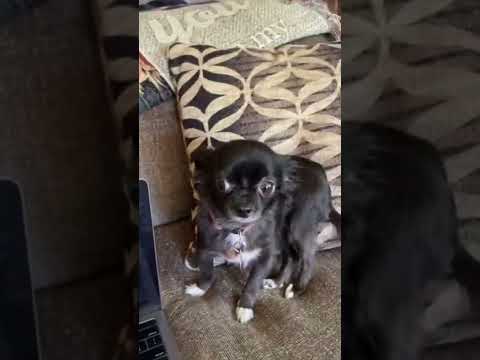 RIP COMPUTER 💔😭