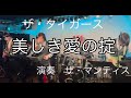 美しき愛の掟  ザ・タイガース   演奏 ザ・マンティス