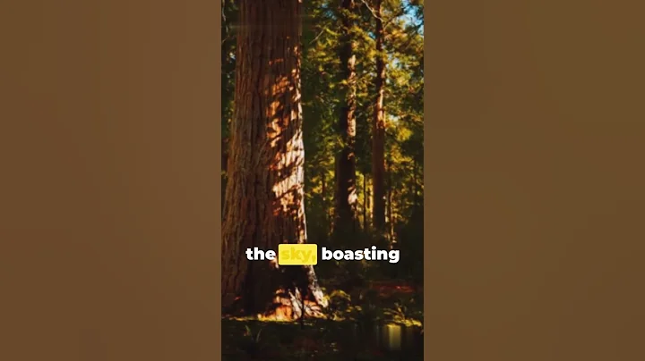 Most beautiful places in usa #shorts #travel #explore #adventure #nature