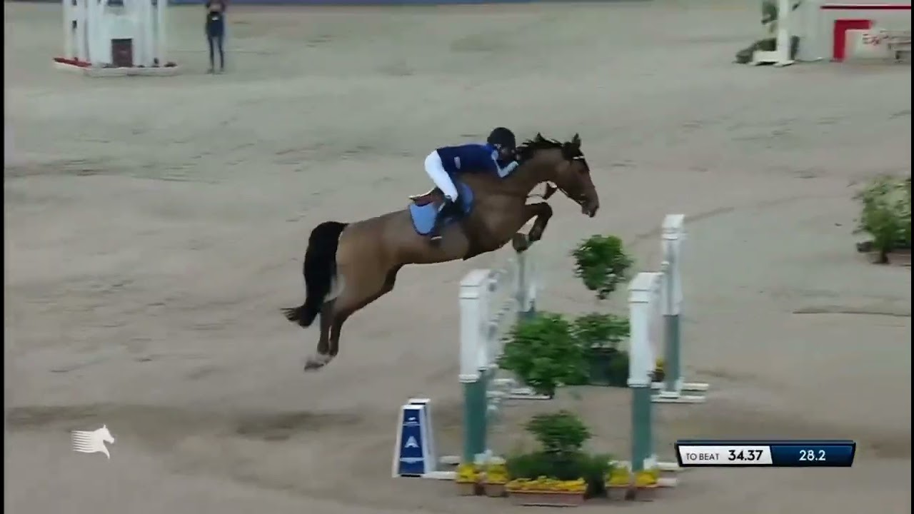 Malin Baryard Johnsson - H&M Indiana (04/03/2023) - Doha (CSI5* GCT - GP - 1.60m - JO)