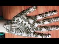 Beautiful front hand mehandi designmehandi class mehandi mehandiart art line practicevirel