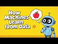 The SURPRISING Truth About Machine Learning