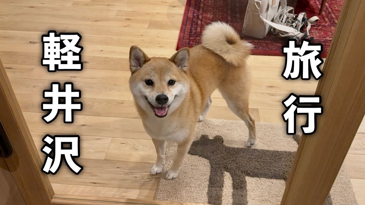 愛犬と大好きな軽井沢に旅行に行ってきました！