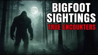 Bigfoot Sightings: 6 Hours of True Encounters | Scary Stories To Fall Asleep To