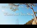 Where Are You Now by George Winston (Music Video)