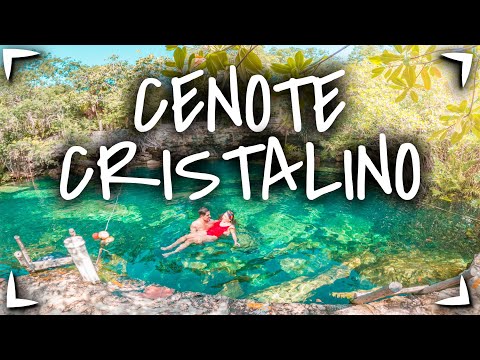 CENOTE CRISTALINO ✅ 150 pesos 8 usd 🔴 CENOTE EDEN ► Cenotes Baratos Cenote CANCUN & PLAYA DEL CARMEN