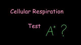 Cellular Respiration Test glycolysis Krebs cycle ETC quiz