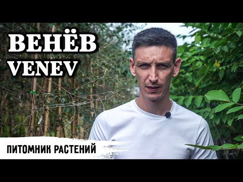 Венев // На чем зарабатывает самый современный питомник растений в России