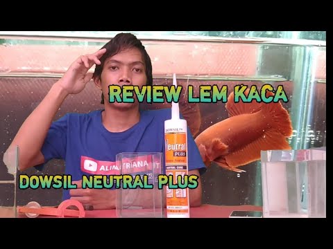 RAHASIA SILICONE SEALENT LEM KACA KENAPA MURAH. 