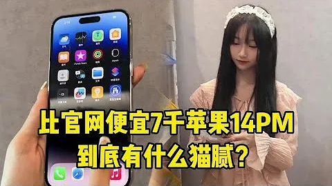 比苹果官网便宜7000元苹果 iPhone 14 Pro Max，九个月深度测评，到底有什么猫腻？ - 天天要闻