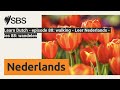 Learn Dutch - episode 88: walking - Leer Nederlands - les 88: wandelen | SBS Dutch - SBS Nederlands