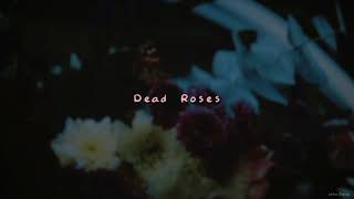 [1 HOUR VER.] Ollie - Dead Roses | #StayHome & Enjoy #WithMe