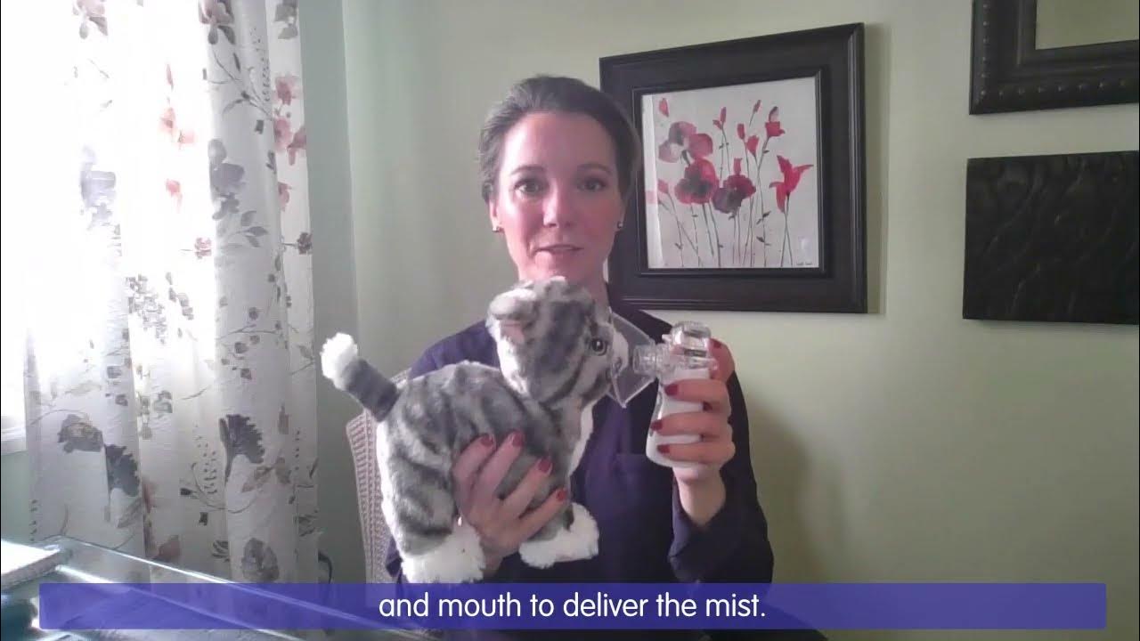 Nebulizer for Cats and Kittens Pet Tips & Tricks with Dr. Sperry