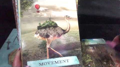 Enchanted Map Oracle Cards by Colette Baron Reid