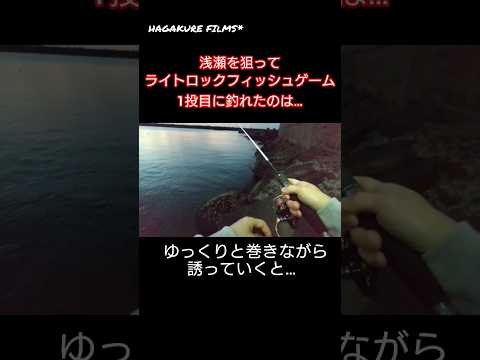 【釣り】浅瀬を狙って1投目に釣れたのは…