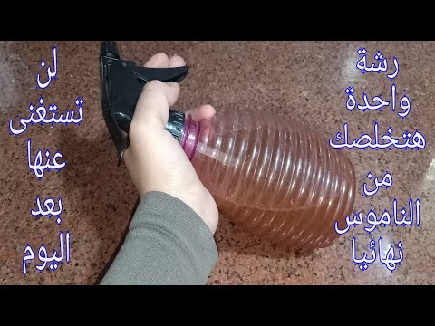 فيديو: القرنفل من البعوض: وصفات لصبغ و ديكوتيون ضد البعوض. هل العلاج يساعد؟ كيف يمكنني استخدامه؟