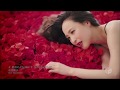 ▶ Seiko Matsuda   Bara No You Ni Saite Sakura No You Ni Chitte 薔薇のように咲いて 桜のように散って 2016via torchbrows