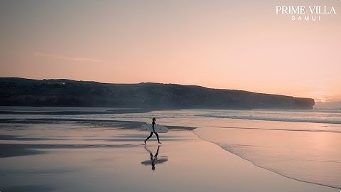 Prime Villa Samui 🏖️ Pool villa in a Modern Tropical Luxury style Starts 17.59 MB Exclusive 8 units