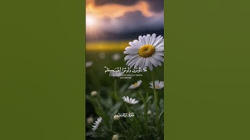 🌿 سورة إبراهيم 🌿 وقال الشيطان لما قضي الأمر بصوت الشيخ ريان المحيسني