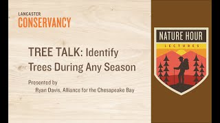 Nature Hour: Tree Talk - Identify Trees During Any Season