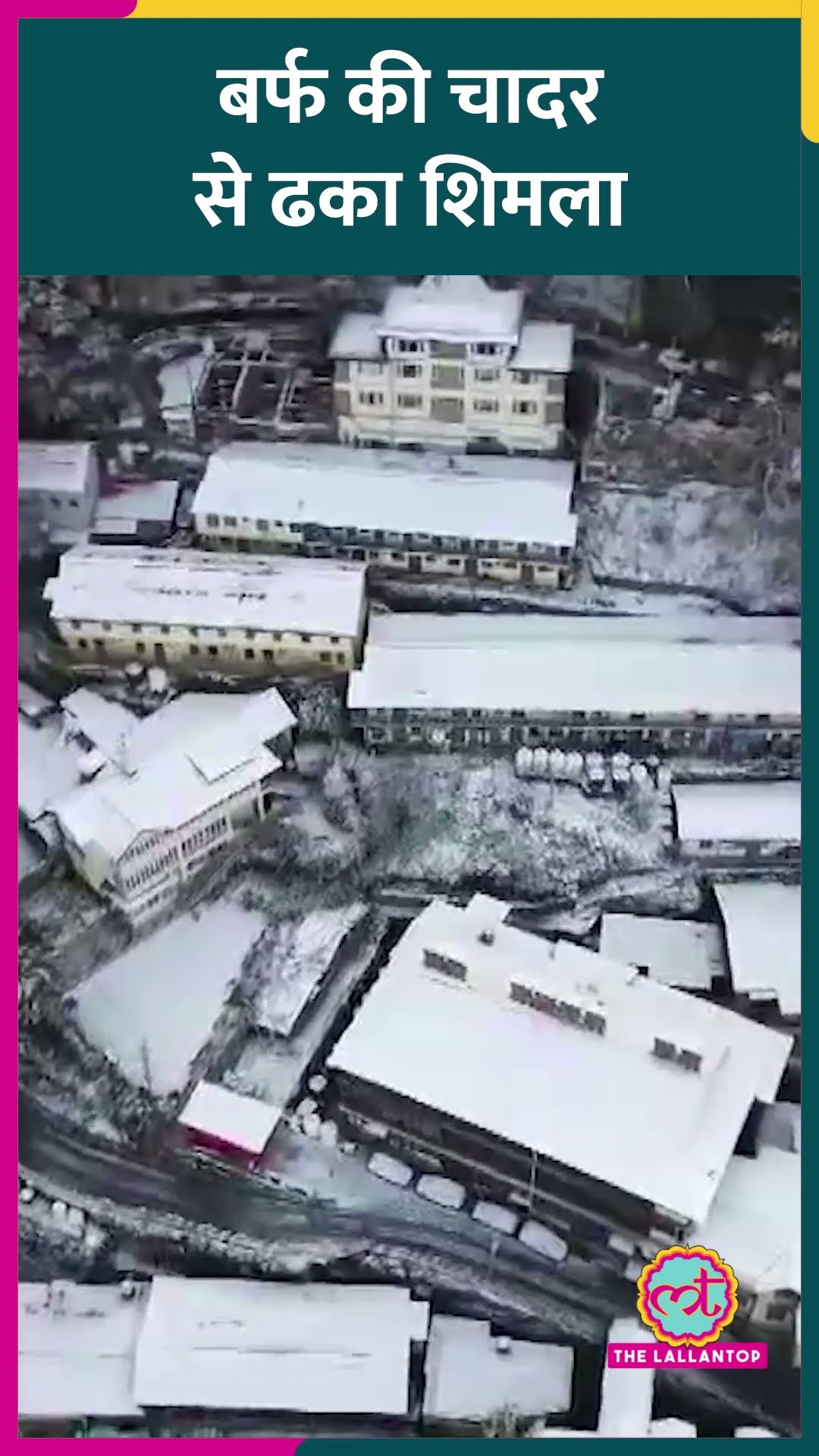 पर्यटकों के लिए सुहाना हुआ Shimla का मौसम, चारों ओर बर्फ ही बर्फ #shorts
