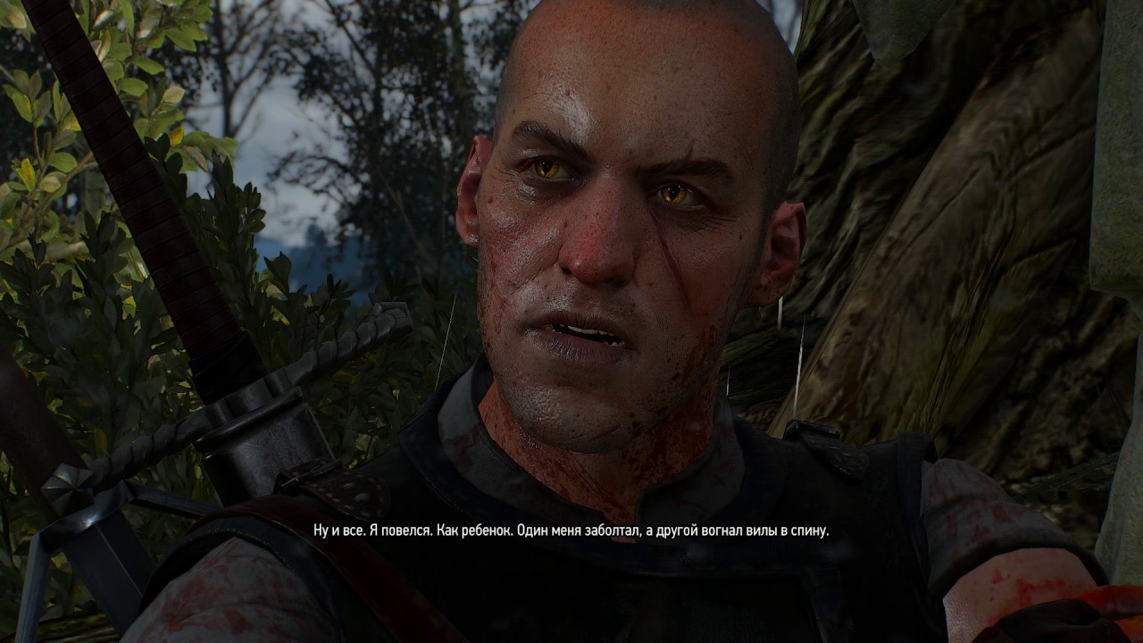 Игры Кошек И Волков фото 19