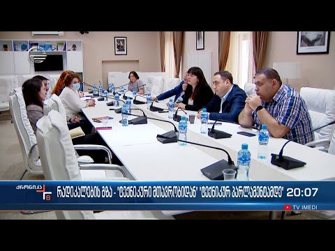 რადიკალების გზა - „ტექნიკური მთავრობიდან“ „ტექნიკურ პარლამენტამდე“