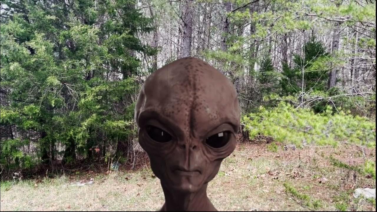 Aliens in my back yard! YouTube