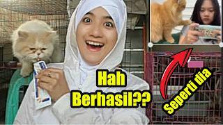 Gak Nyangka! Kucingku Bisa Mencolek Setelah Diajarin Pake Cara Ini