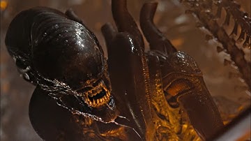 Xenomorph 4K Scene Pack (Alien: Romulus)