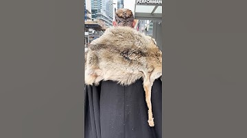 Ragnar Lothbrok Walking in Public #ragnarlothbrok #costume #fashion #reactionvideo #vikings