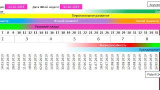 Pregnancy Calculator in Excel DOWNLOAD screenshot 1