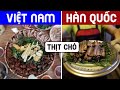 VIỆT NAM vs HÀN QUỐC - So Sánh Kỳ Quặc Về 2 Dân Tộc | Quốc Gia Đại Chiến - Tập 3