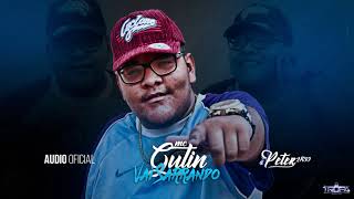 MC Gutin  - Vai Sarrando (DJ Peter 2k30)