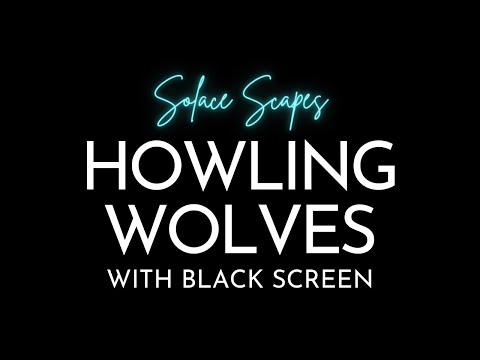 10 Hour Ambient Sound | Howling Wolves | Sleep, Relax, Study, Meditate, Focus | Black Screen