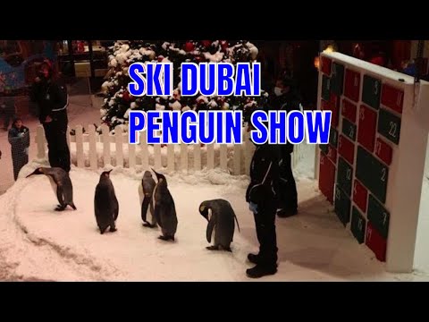 SKI DUBAI PENGUIN SHOW