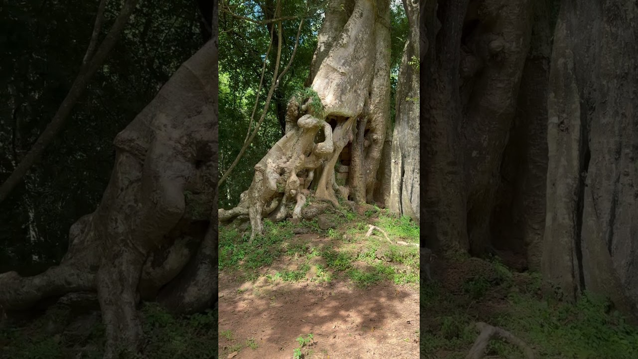 Baphuon Temple, Siem Reap 