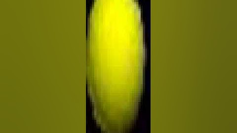 VPython - Gravity Between Three Objects