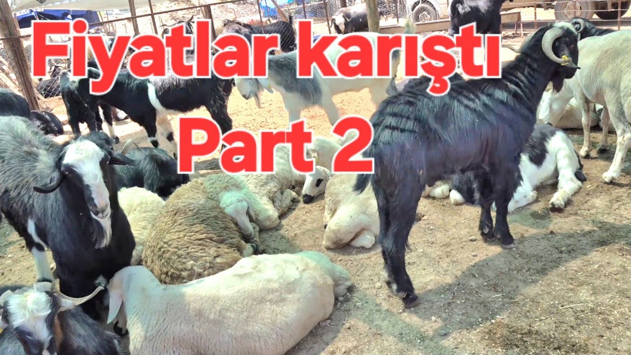 ADANA KABAKTEPE KANALI ŞOK FİYATLAR 