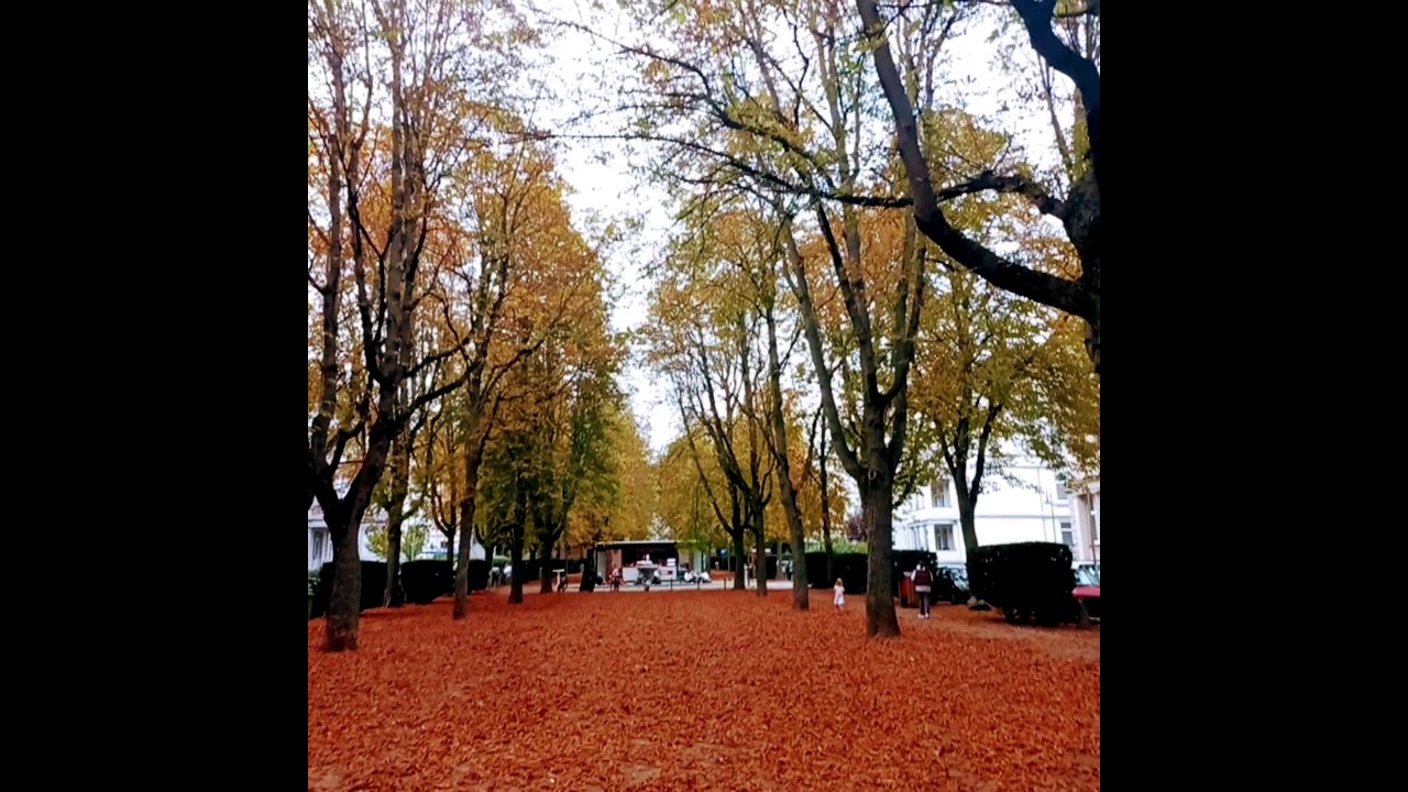 fall time in Germany 🇩🇪 